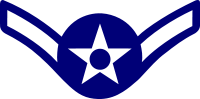 Rank badge of a Airman