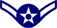 Air Force Airman Basic Insignia