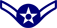 Air Force Airman Insignia