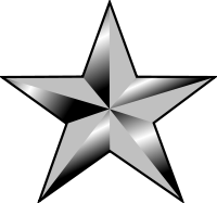 Rank badge of a Brigadier General