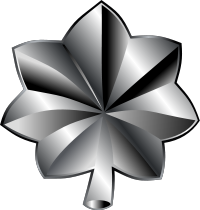 Air Force Lieutenant Colonel