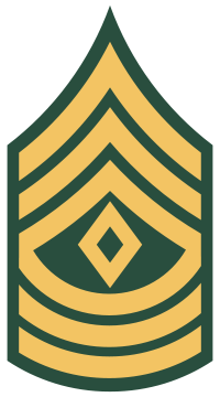 Patch of a First Sergeant