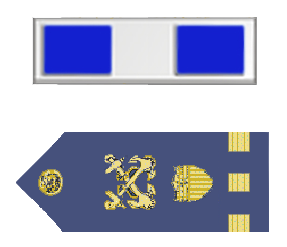 Rank badge of a Chief Warrant Officer 3