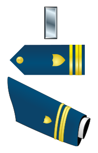 Rank badge of a Lieutenant Junior Grade