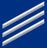 Coast Guard Seaman