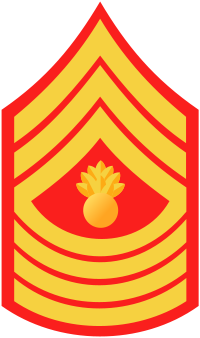 Marine Corps Master Gunnery Sergeant - Military Ranks