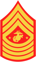 Rank badge of a Sergeant Major