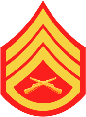 Rank badge of a Staff Sergeant