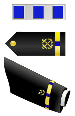 Rank badge of a Chief Warrant Officer 4
